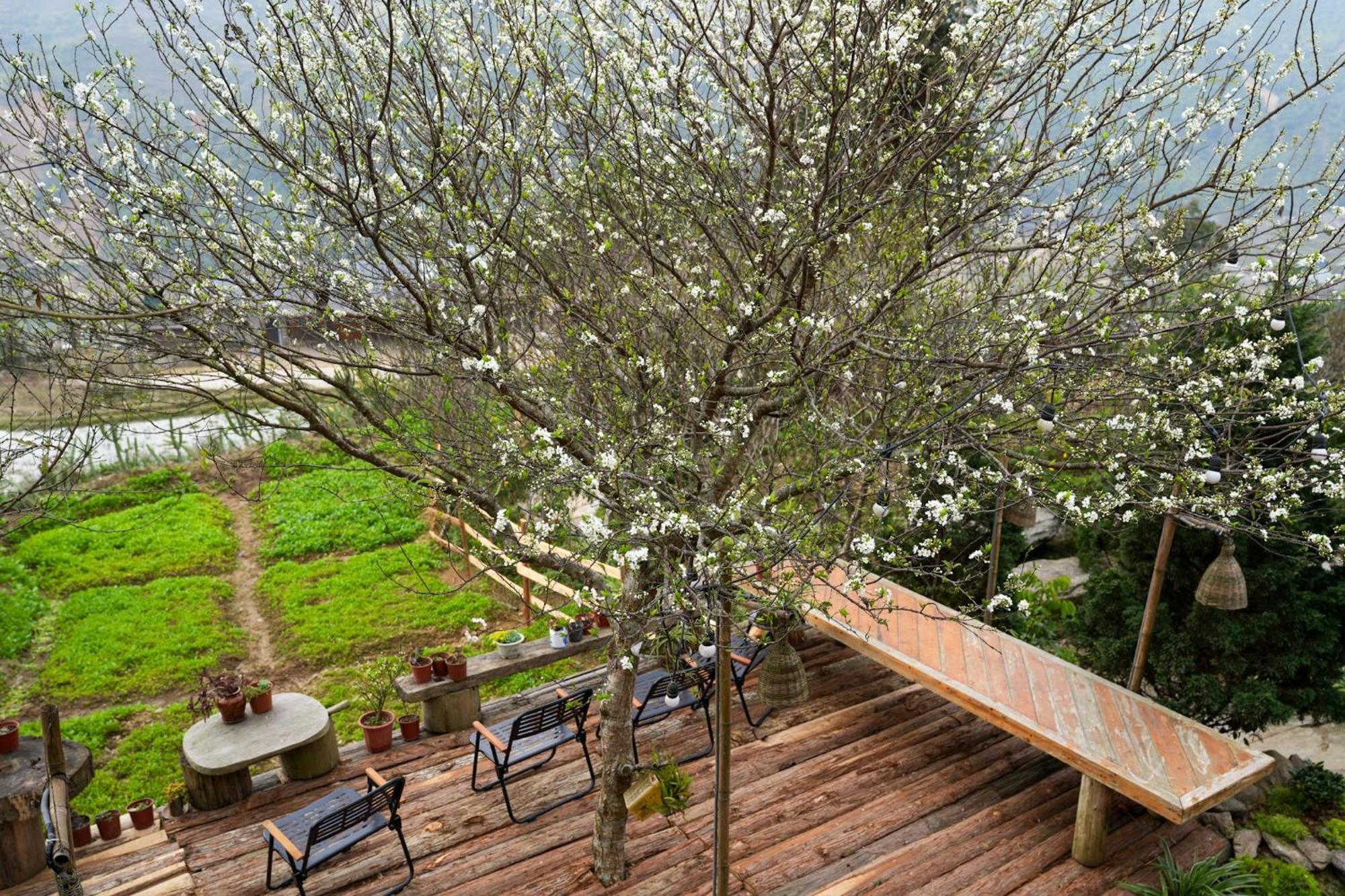 La Beaute Sa Pa Apartamento Exterior foto